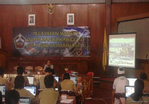 Pelatihan Website WWW.BANGLIKAB.GO.ID dan Sub Domain SKPD