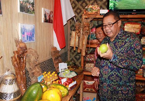 Kunjungan Bapak Wakil Gubernur