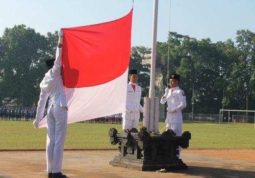 Pelaksanaan Apel Harkitnas Tahun 2015